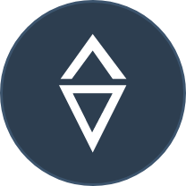 Brand Intel Icon